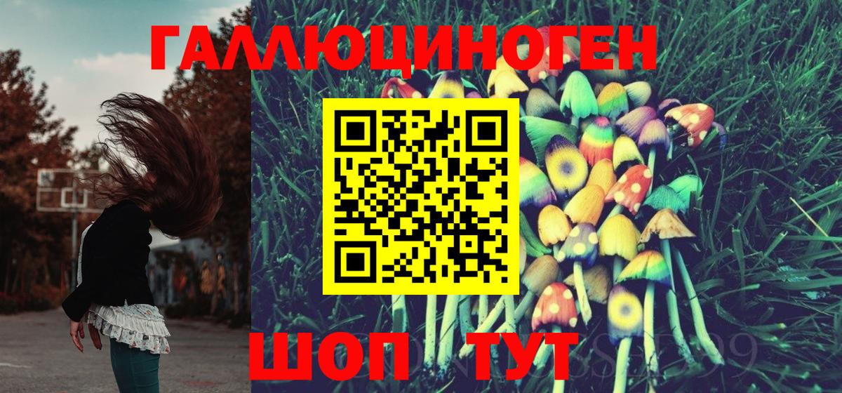 Галлюциногенные грибы Cubensis Майский