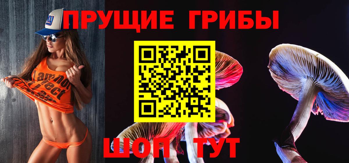 Майский  Псилоцибиновые грибы Cubensis  Вход с VPN 